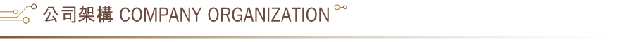 Company Organization