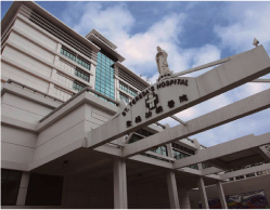 聖德肋撒醫院 St. Teresas Hospital