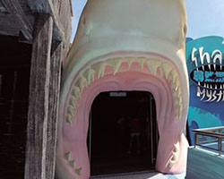 香港海洋公園
Ocean Park