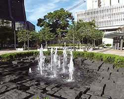 港灣道公園
Harbour Garden